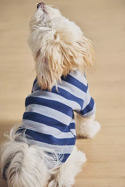 Furb Cooper Striped Pet Sweatshirt In Blue