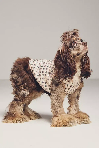 Furb Floral Quilted Pet Vest Jacket In Multi
