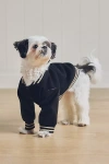 Furb Leader Of The Pack Letterman Pet Jacket In Black