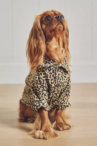 Furb Ozzie Leopard Denim Pet Jacket In Brown