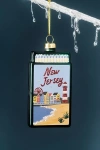 Furbish Studio Matchbook Ornament: State Edition In Multi