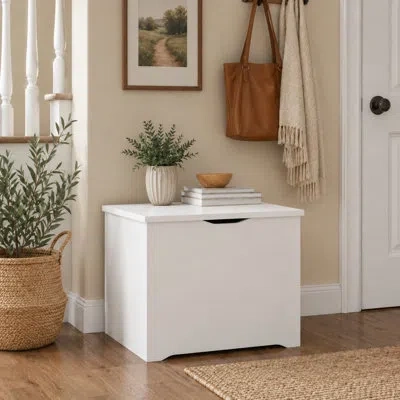 Furinno Basic Storage Chest, Storage Bench With Safety Hinged Soft Closed Lid, Storage Box, 15.6 X 23.6 X 18 In White