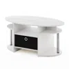 Furinno Jaya Simple Design Oval Coffee Table With Bin, White Oak, Stainless Steel Tubes