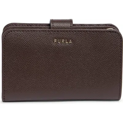 Furla Classic Compact Wallet In Cioccolato