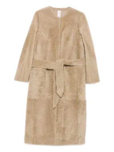 FURLING BY GIANI BELTED SINGLE-BREASTED SHEEPSKIN COAT