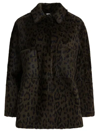 Furling By Giani Coats In Brown