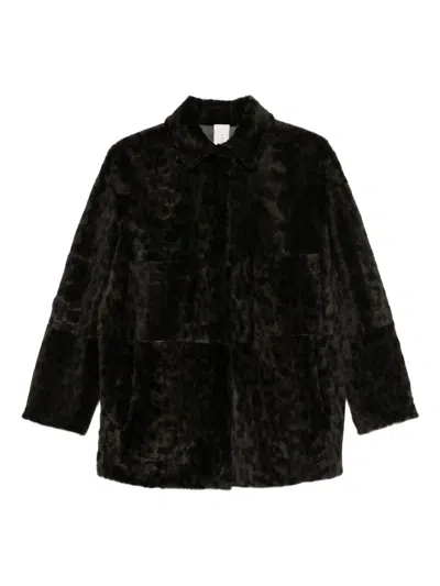 Furling By Giani Leather Jacket In Brown