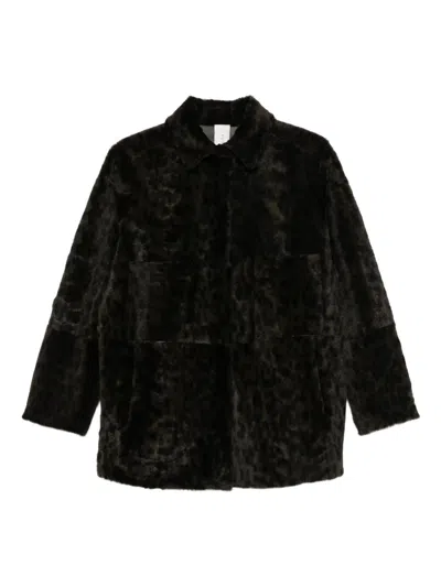 FURLING BY GIANI SHIRTS BROWN
