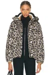Fusalp Ada Leopard Jacket In Brown
