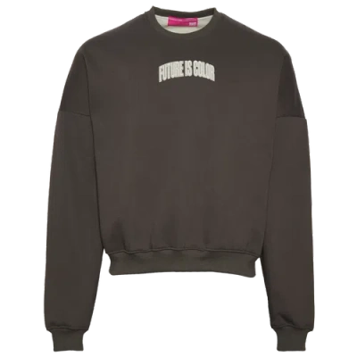 Future Is Color Mens  Letterman Crew In Gray/natural
