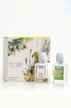 Future Society Deluxe Floating Forrest 3-piece Set In No Color