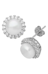 Fuzion Creations Freshwater Pearl & Pavé Cubic Zirconia Stud Earrings In White
