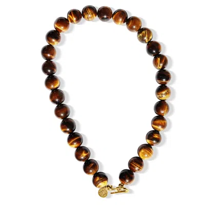 Fv Jewellery Women's Brown Tiger's Eye Polished Necklace