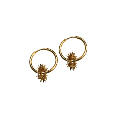 Fv Jewellery Women's Gold Steel Me Lena Earrings