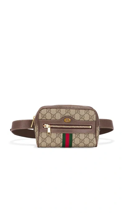 Fwrd Renew Gucci Ophidia Belt Bag In Beige