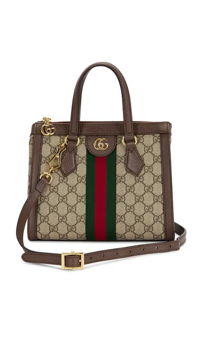 Fwrd Renew Gucci Ophidia Tote Bag In Brown