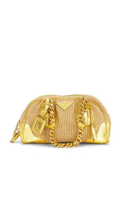 Fwrd Renew Prada Paglia & Cinghiale Handbag In Neutral