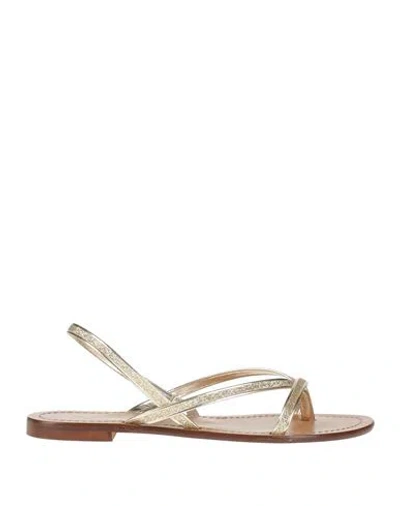 Fx Frau Woman Thong Sandal Platinum Size 6 Textile Fibers In Grey