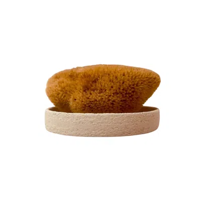 Fysha Gold Fina Silk Facial Sea Sponge