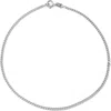 Fzn Slim Chain Anklet In White