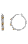 Fzn Stone Hoop Earrings In Citrine
