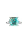 Fzn Turquoise Ring In Turquoise