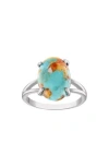 Fzn Turquoise Ring In Turquoise/silver