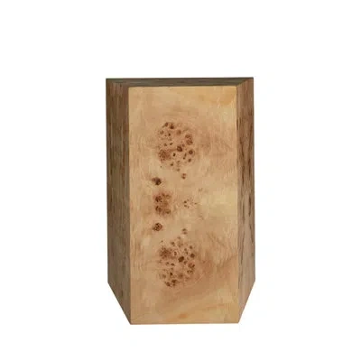 Gabby Alistair Side Table - Burl In Medium Wood