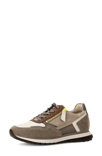 Gabor 56.378 Zip Sneaker In Brown