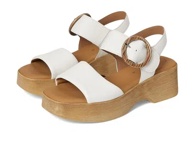 Gabor 64.520 In Brown