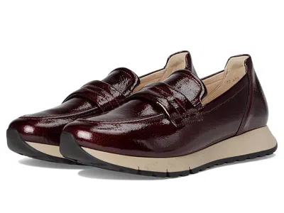 Gabor 72.475.88 In Brown