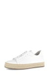 Gabor 83.270 Platform Sneaker In White