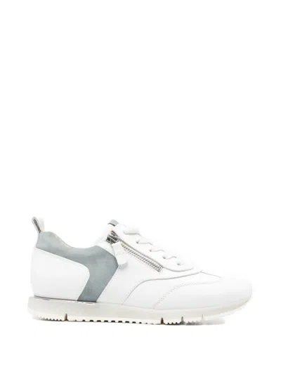 Gabor 83.471 F Zip-up Lace-up Sneakers In Multi