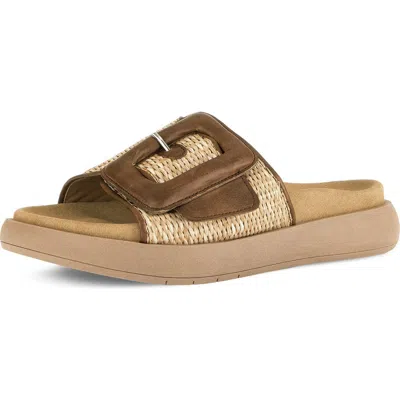 Gabor 83.754 Slide Sandal In Brown