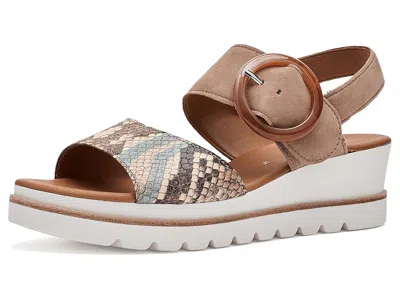 Gabor 84.645 In Multi