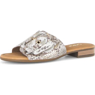 Gabor Buckle Slide Sandal In Gray