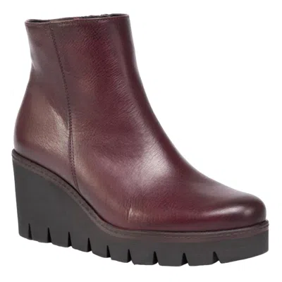Gabor Chunky Ankle Boot In Merlot In Black