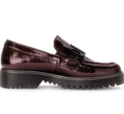 GABOR CHUNKY HELL CITY LOAFER IN ROCK LACK/BURGUNDY