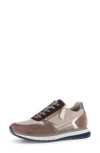 Gabor Cora Sneaker In Multi
