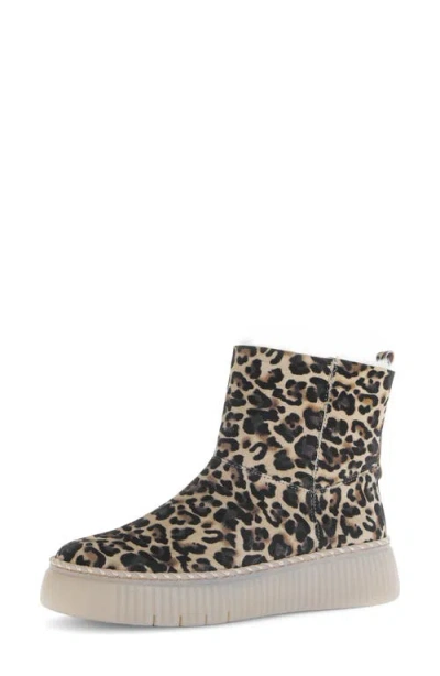 Gabor Genuine Shearling Lined Platform Bootie In Animal Print
