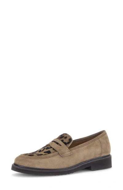 Gabor Penny Loafer In Farro Calf Hair