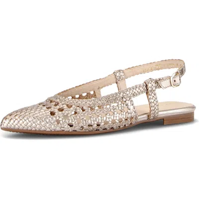 Gabor Pointed Toe Slingback Flat In Multi