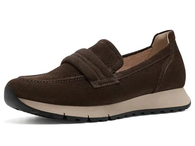 Gabor Ruth Women's Flat Shoes English Brown: Uk 3.5 (us Women's 6) B - Medium, Suede