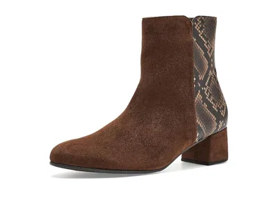 Gabor Sharon Women's Boots Cacao: Uk 5.5 (us Women's 8) B - Medium, Suede In Multi