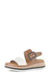 Gabor Slingback Wedge Sandal In Brown