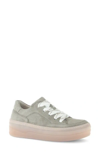 Gabor Sneaker Lh Rfb Bf In Gray