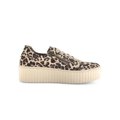 Gabor Women's Candy Platform Sneaker In Nature In Animal Print