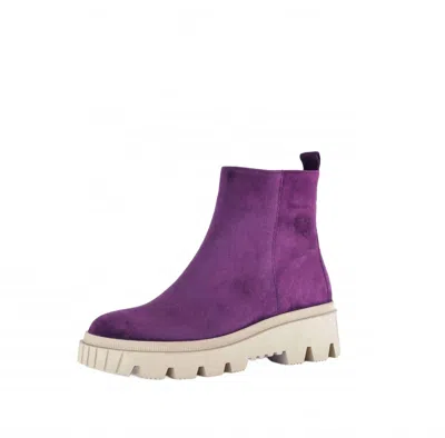 Gabor Women's Combat Boots In Dark Orchid In Purple