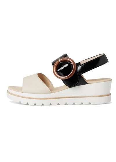 Gabor Women's Freya Wedge Sandal In Black/cream In Multi