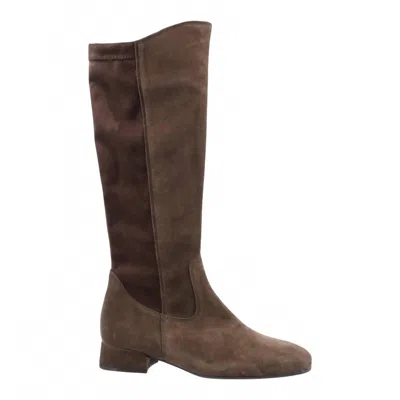 Gabor Women's Knee High Boots In English Brown